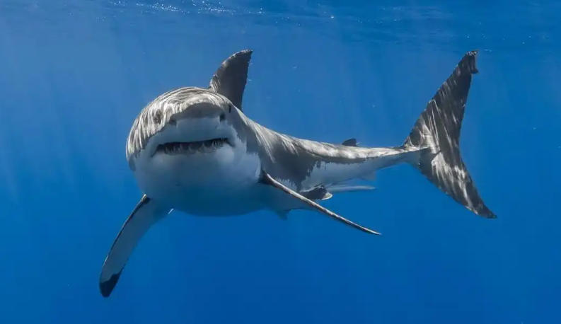 学术论文交流网轮播图1